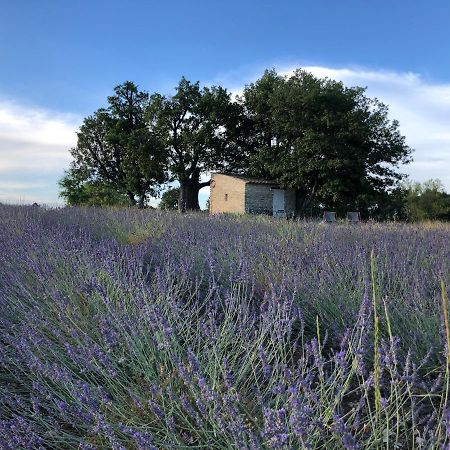 Cabanon du berger Villa Saignon Bagian luar foto