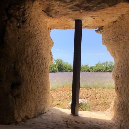 Cabanon du berger Villa Saignon Bagian luar foto