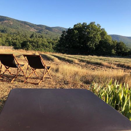 Cabanon du berger Villa Saignon Bagian luar foto