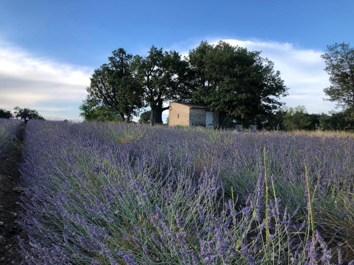 Cabanon du berger Villa Saignon Bagian luar foto